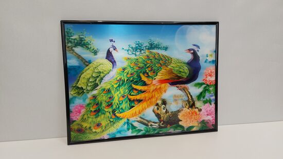 NR.1219 (3D lentikulārā bilde Jūsu interjeram)